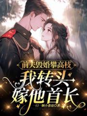 前夫毁婚攀高枝，我转头嫁他首长