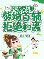 肥妻万人嫌？赘婿首辅拒绝和离