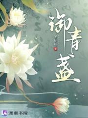 御青盏