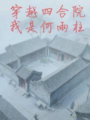 穿越四合院我是何雨柱