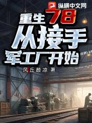 重生78，从接手军工厂开始